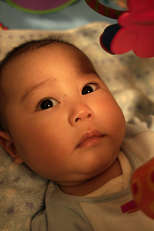 004.jpg